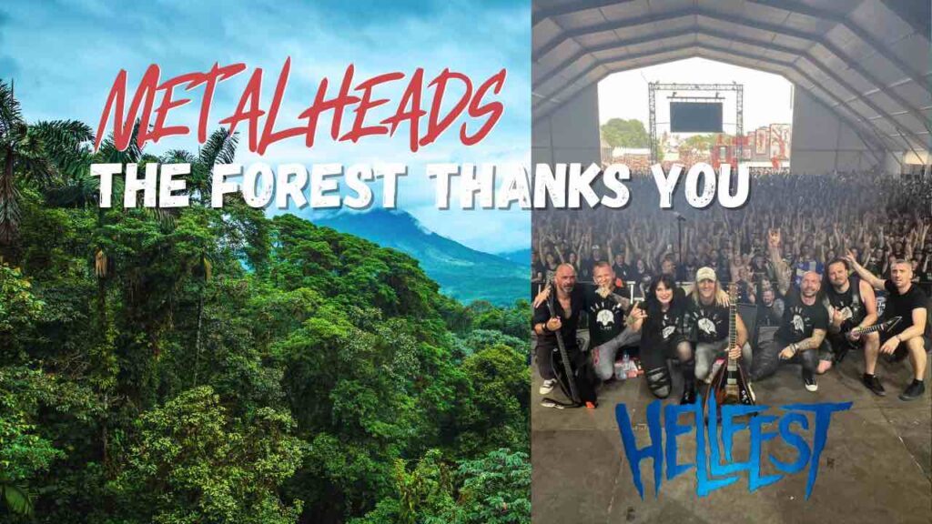 Une forêt sauveardée par les fans de metal. Et le Hellfest.