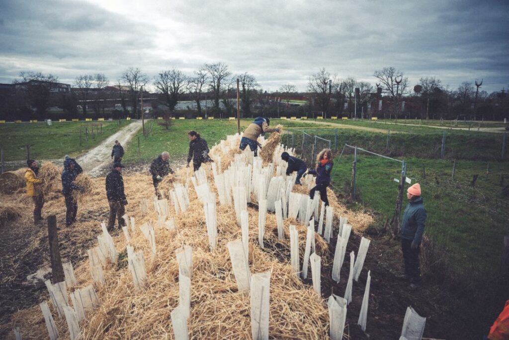 view on reforestation hellfest