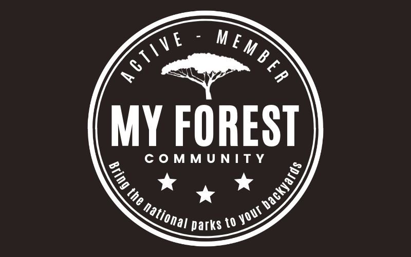 My forest costa rica reforestation initiative