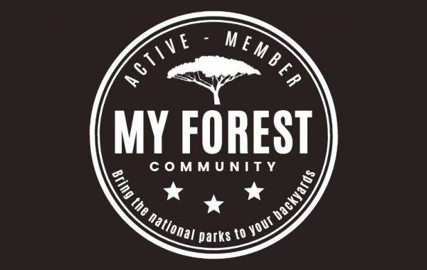 Logo my forest