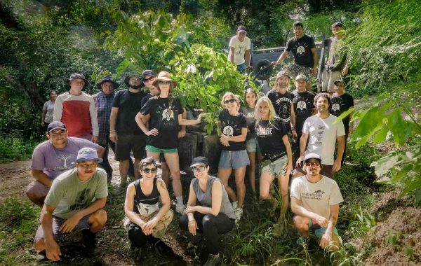 Savage lands planting team